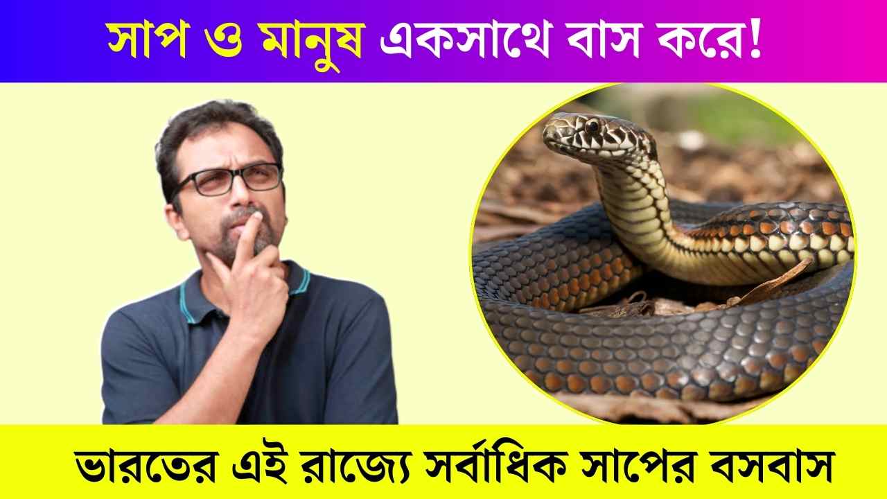 snake
